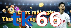 tk66